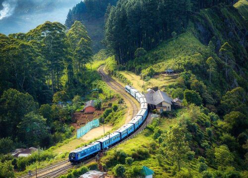 Overnight Desert Safari in Abu Dhabi