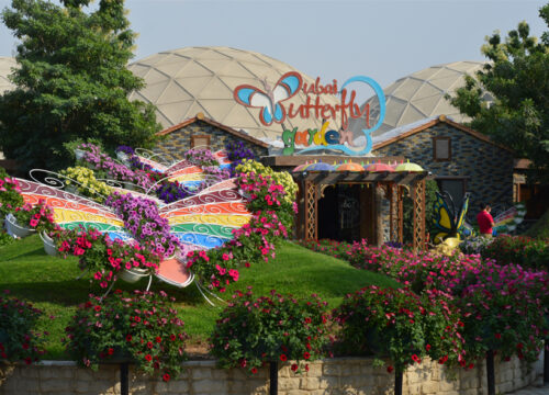 Butterfly Garden Tour