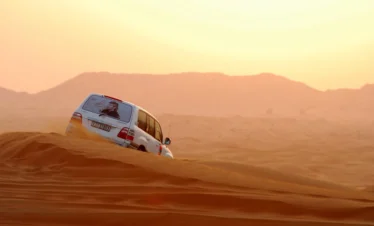 Evening Desert Safari in Abu Dhabi