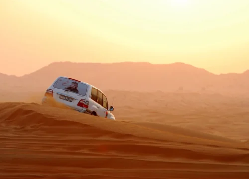 Evening Desert Safari in Abu Dhabi