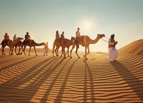 Morning Desert Safari in Abu Dhabi