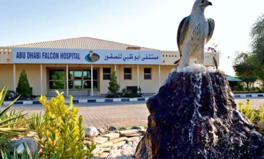Abu Dhabi Falcon Hospital Tour