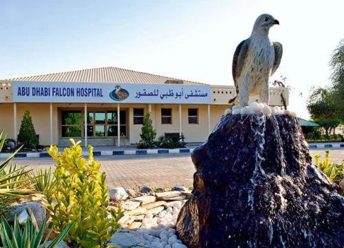 Abu Dhabi Falcon Hospital Tour