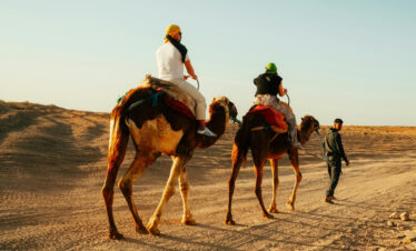Camel Ride Private tour in Abu Dhabi