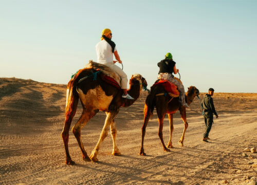 Camel Ride Private tour in Abu Dhabi