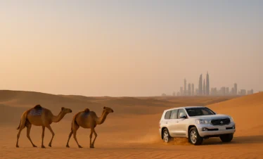 Layover Desert Safari Abu Dhabi – Private Tour