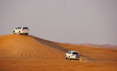 Full Day Liwa Desert Safari from Abu Dhabi