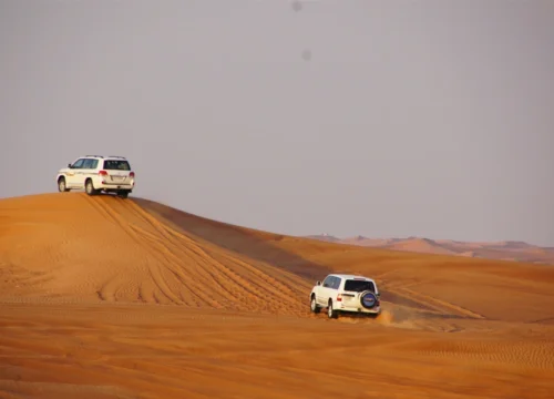 Full Day Liwa Desert Safari from Abu Dhabi