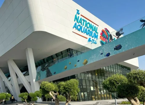 The National Aquarium Abu Dhabi – Tickets