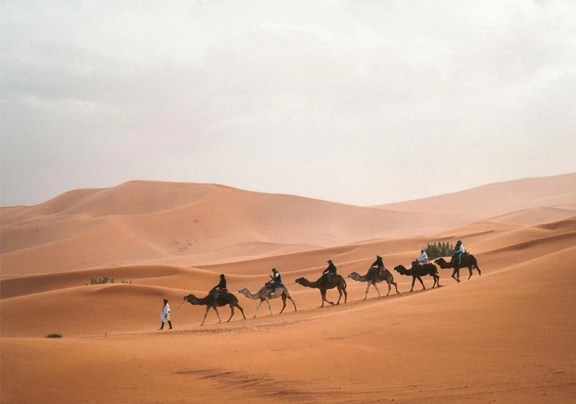 Camel Ride in the Desert