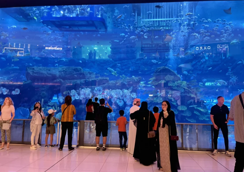 Dubai Mall Aquarium
