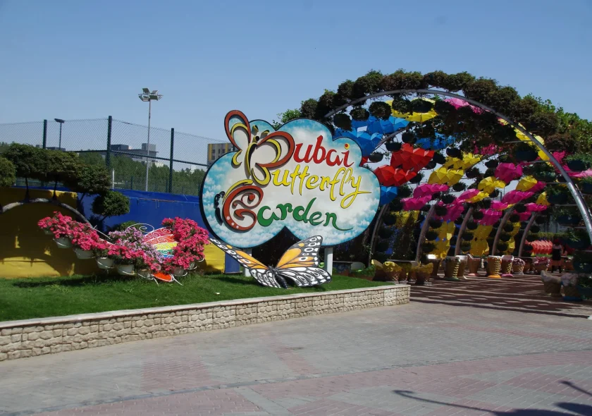 Dubai butterfly Garden