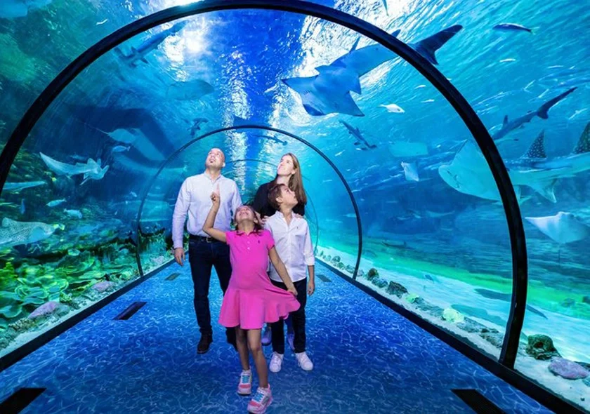 National Aquarium Abu Dhabi-03