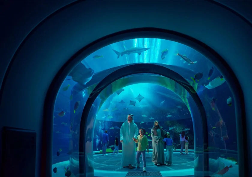 SeaWorld Abu Dhabi – 04