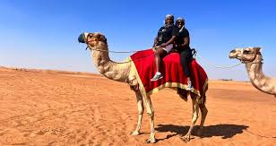 Camel Ride